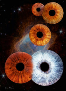 assemblage iris nathalie copie